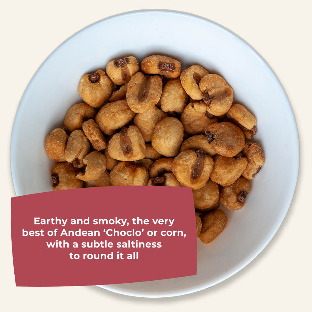 Tasting Bundle - Roasted Giant Corn Kernels - Sea Salt