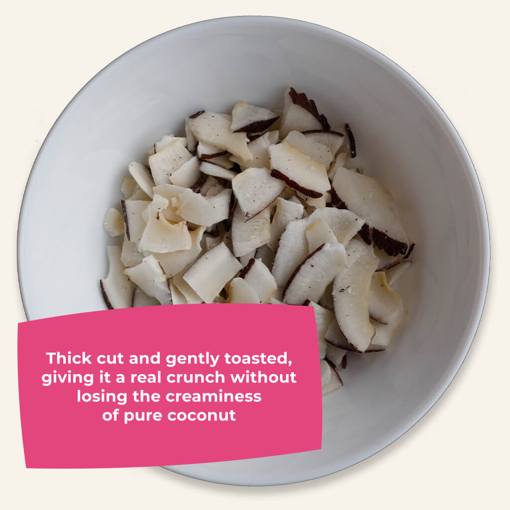 Tasting Bundle - Organic Toasted Coconut Chips