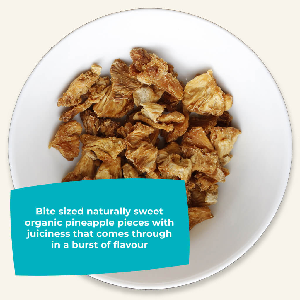 Tasting Bundle - Organic Dried Pineapple Chunks