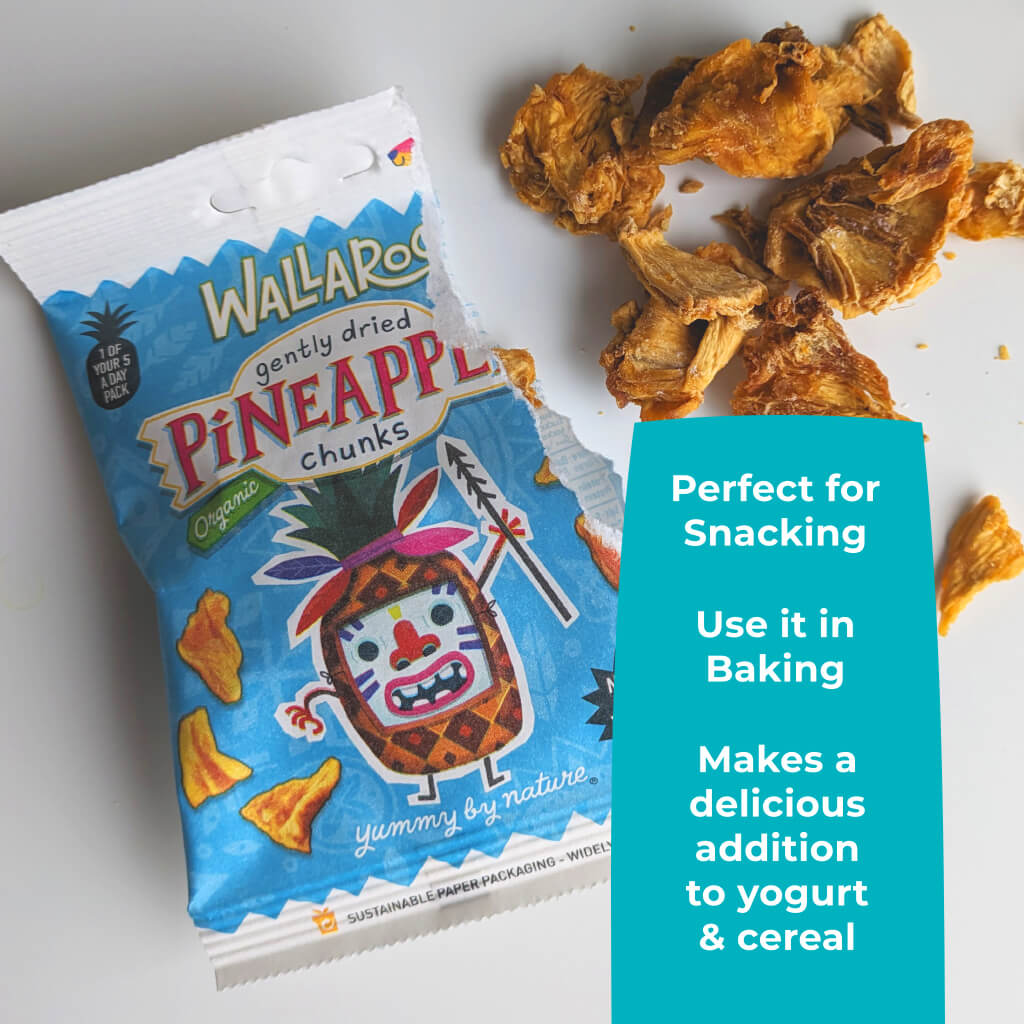 Tasting Bundle - Organic Dried Pineapple Chunks