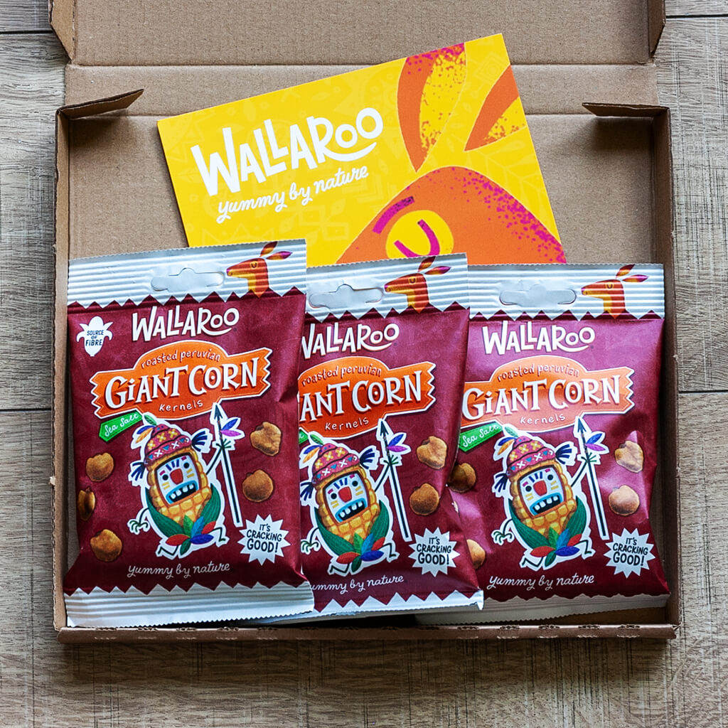 Tasting Bundle - Roasted Giant Corn Kernels - Sea Salt