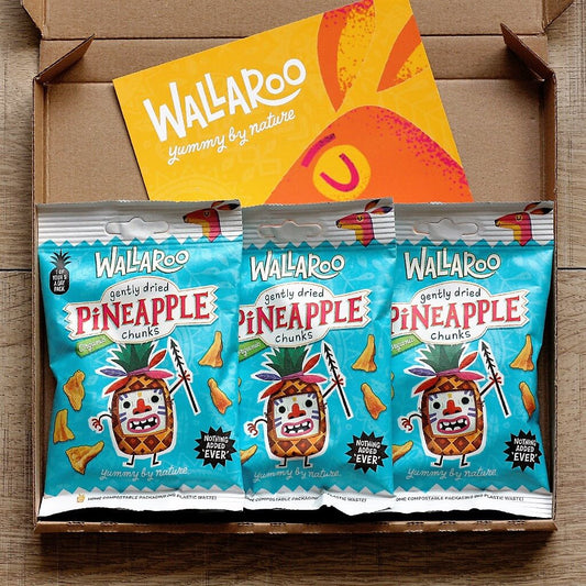 Tasting Bundle - Organic Dried Pineapple Chunks