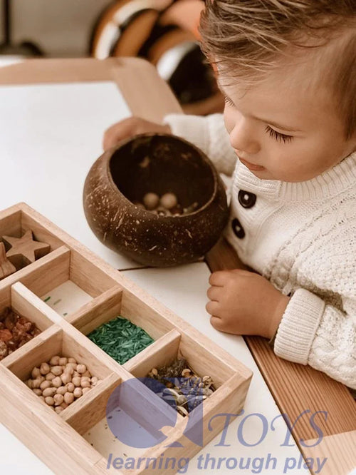 Natural Coconut Sensory Bowl