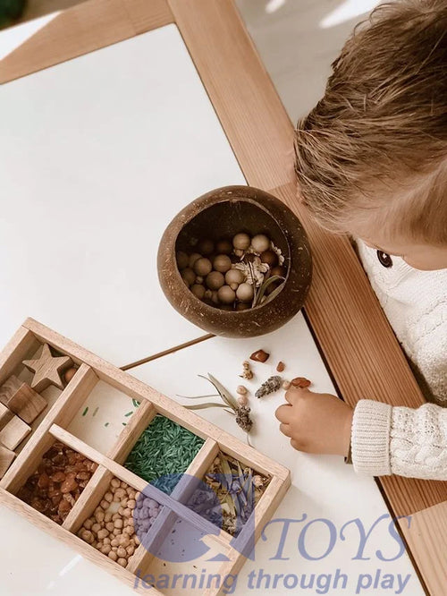 Natural Coconut Sensory Bowl